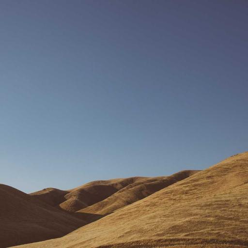 Licensed Cotton Pants