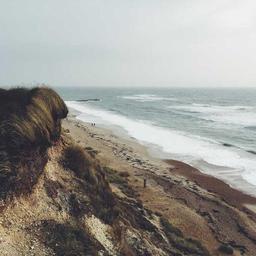 Intelligent Rubber Bacon thumbnail 1