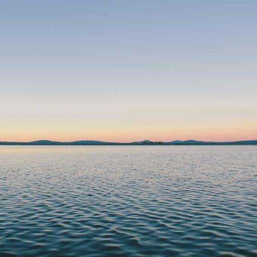 Luxurious Bronze Shirt