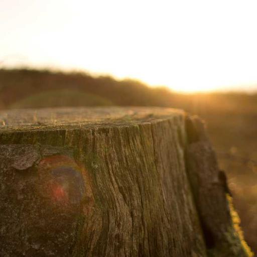 Unbranded Concrete Ball