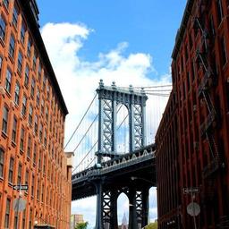 Small Frozen Towels thumbnail 1