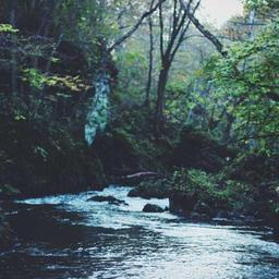 Oriental Frozen Chips thumbnail 3