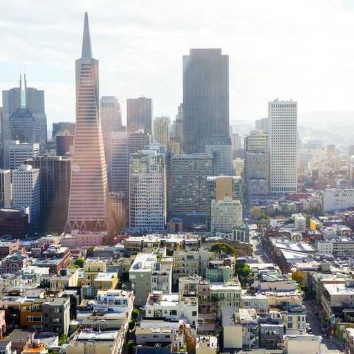 Luxurious Frozen Chair