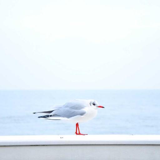 Handmade Concrete Chips