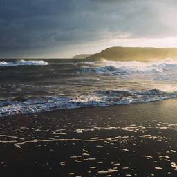 Gorgeous Plastic Towels thumbnail 5