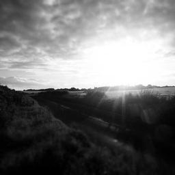 Sleek Soft Sausages thumbnail 4