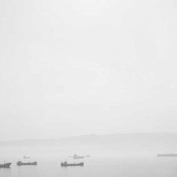 Sleek Frozen Cheese thumbnail 4