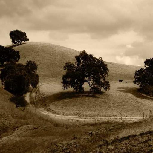 Intelligent Bronze Sausages