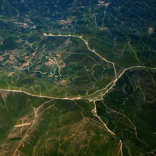 Recycled Fresh Sausages