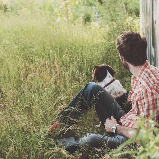 Refined Steel Gloves