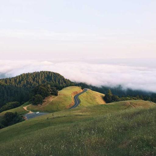 Electronic Granite Towels