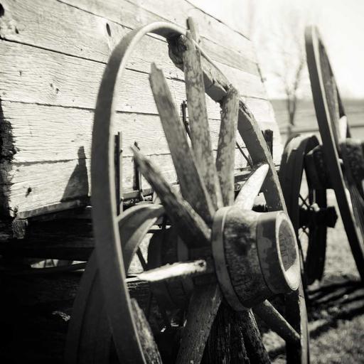 Refined Cotton Pants