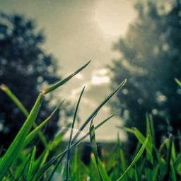 Small Cotton Ball thumbnail 3