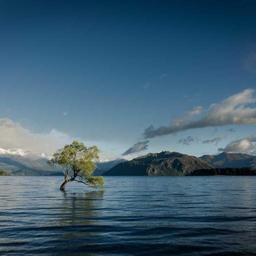 Intelligent Fresh Computer thumbnail 2