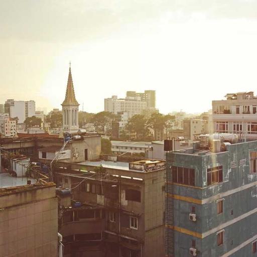 Recycled Wooden Sausages