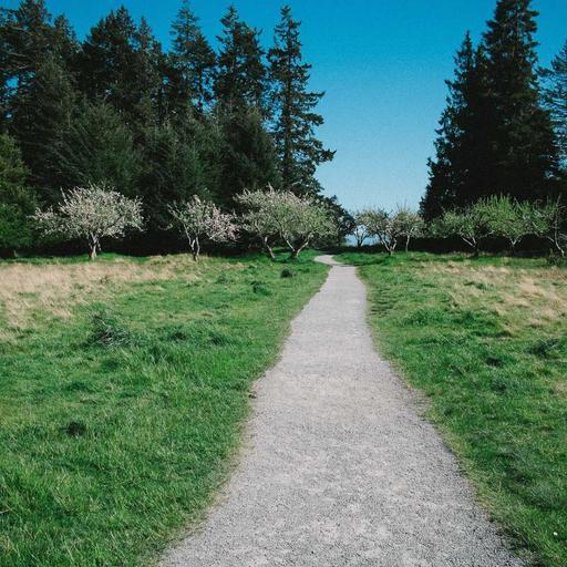 Generic Cotton Shirt