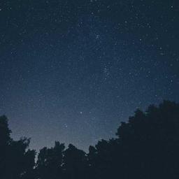 Oriental Cotton Table thumbnail 4