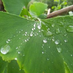 Handmade Soft Towels thumbnail 5