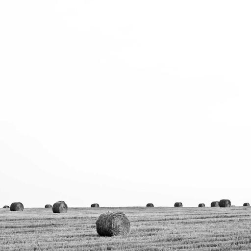Rustic Metal Chicken