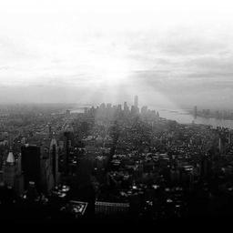 Generic Rubber Gloves thumbnail 3