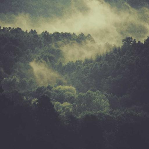 Gorgeous Fresh Table