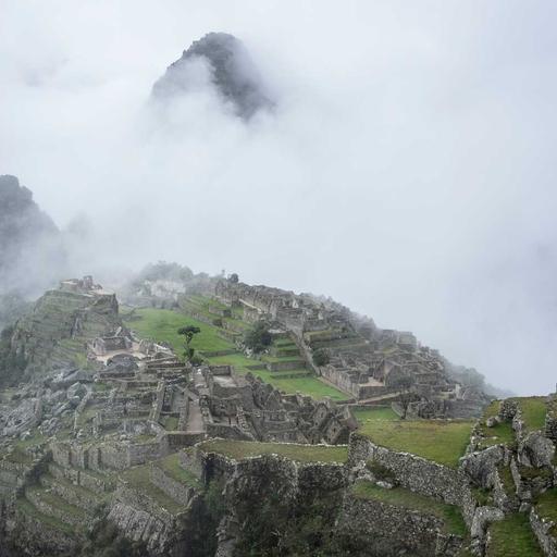 Unbranded Steel Pants