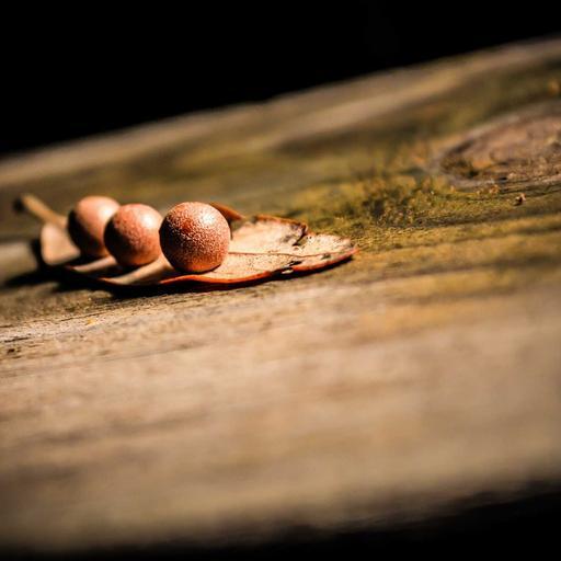 Generic Rubber Sausages