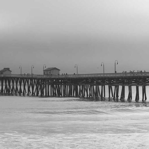 Fantastic Wooden Fish