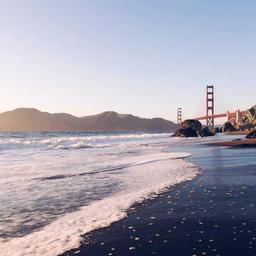 Gorgeous Fresh Pizza thumbnail 5