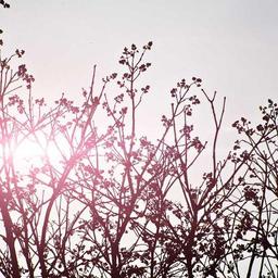 Incredible Fresh Hat thumbnail 4