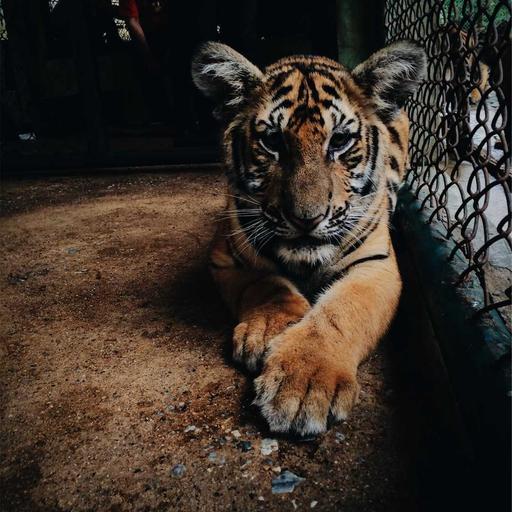 Luxurious Concrete Computer