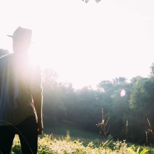 Intelligent Cotton Mouse