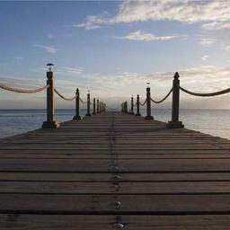 Practical Steel Bacon thumbnail 1