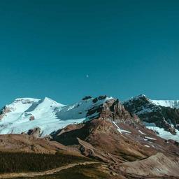 Handcrafted Wooden Pants thumbnail 4