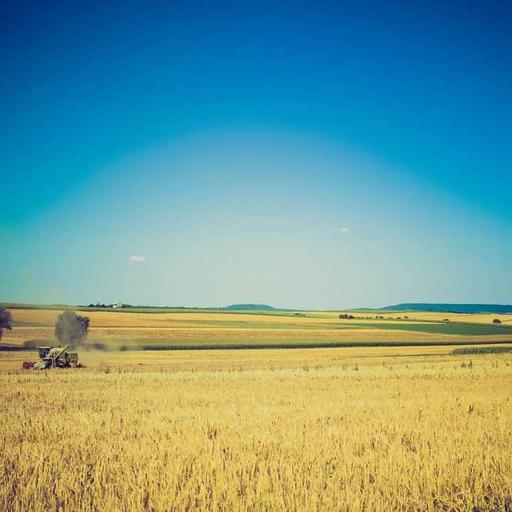 Handcrafted Frozen Chair