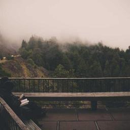 Sleek Wooden Cheese thumbnail 2