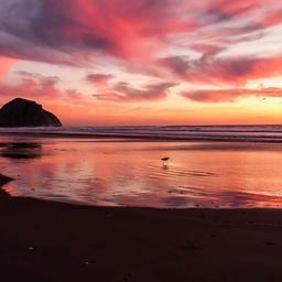 Handmade Fresh Towels thumbnail 1