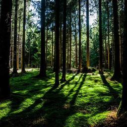 Refined Granite Cheese thumbnail 1