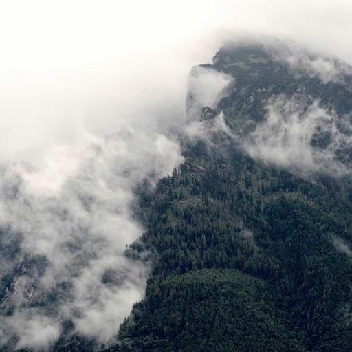 Elegant Frozen Chair