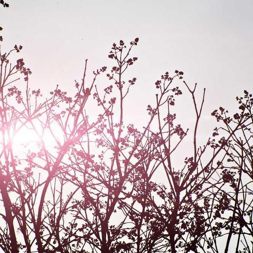 Rustic Frozen Gloves