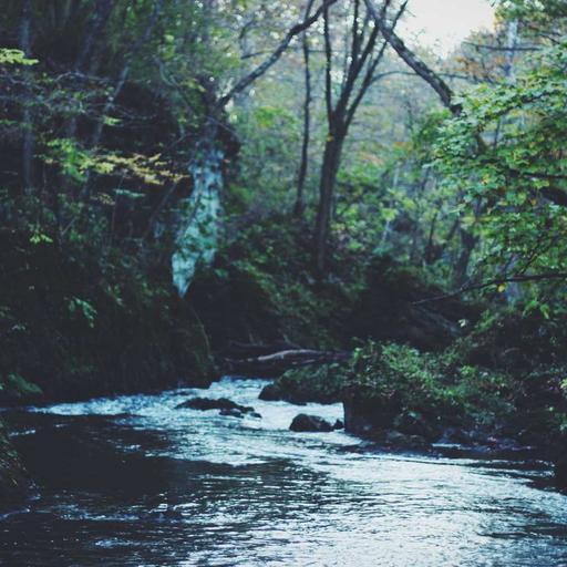 Unbranded Bronze Sausages