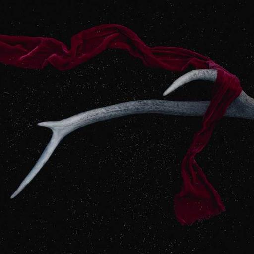 Unbranded Rubber Chicken