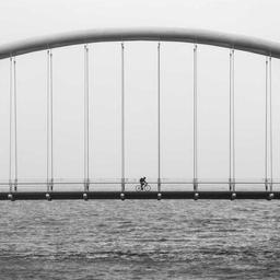 Luxurious Rubber Chicken thumbnail 4