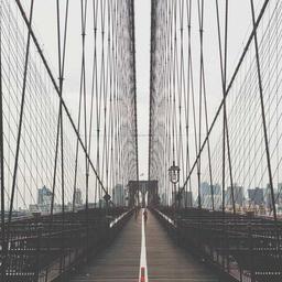 Practical Granite Fish thumbnail 2