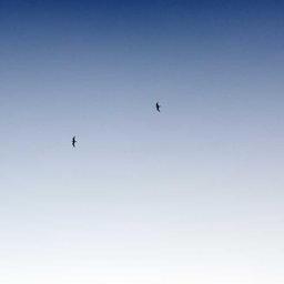 Handcrafted Plastic Mouse thumbnail 2