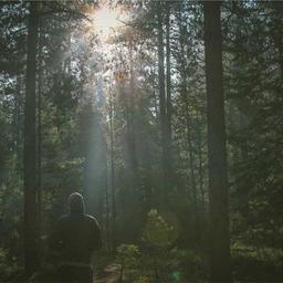 Rustic Fresh Shirt thumbnail 3