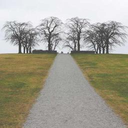 Unbranded Concrete Table thumbnail 3