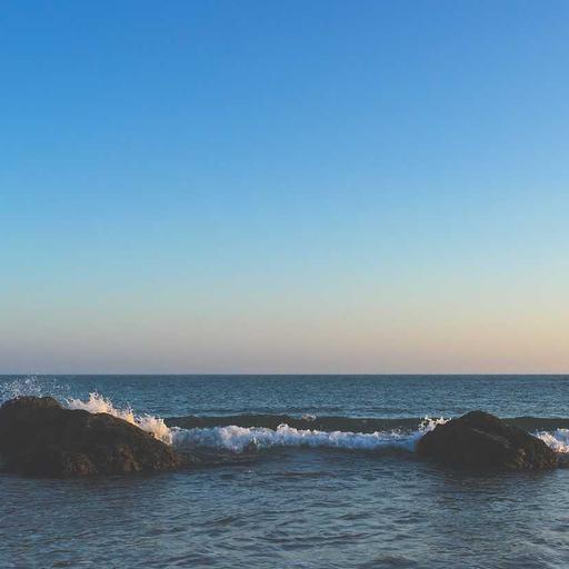 Recycled Cotton Chicken