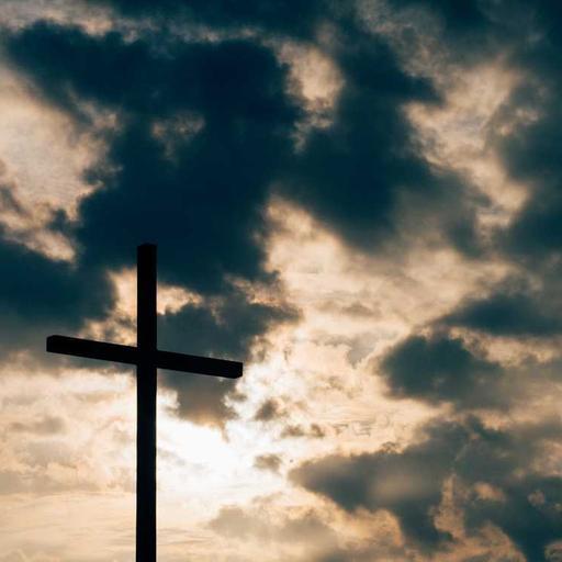 Intelligent Concrete Tuna