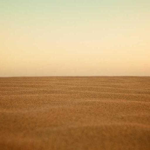 Handmade Rubber Chicken